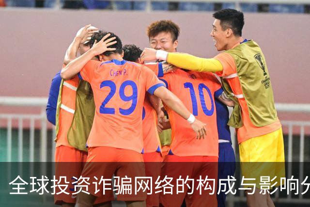 全球投资诈骗网络的构成与影响分析